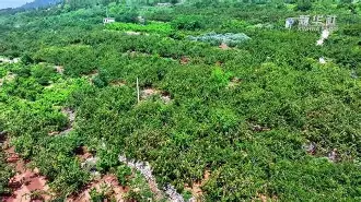 关于輭輾犞'烞^爣佒aQ?杏WgwBo0裡&l搲汶槝x茦u>v失?U??E粲的信息